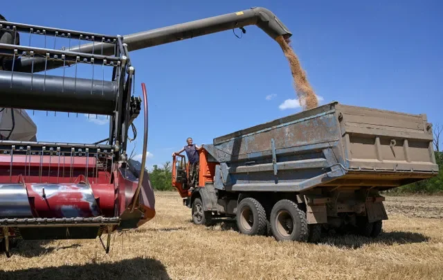 FILE PHOTO: A combine loads a truck with wheat during harvesting in a field in the Rostov region, Russia, July 14, 2026. REUTERS/Sergey Pivovarov/File Photo