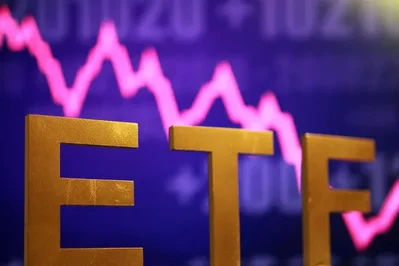 Leveraged single stock ETF demand cools down