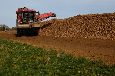 Tereos projeta produção de açúcar da UE no menor nível em 38 anos