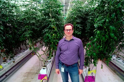 垂直農業新創公司 80 Acres Farms 在停業後已聲請第7章破產清算以處分資產。在產業面臨廣泛挑戰之際，該公司承受著日益沉重的財務壓力、收購談判破裂以及銷售疲軟等困境。