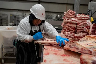 特朗普总统正准备签署一项法律法令，允许农场主自行加工食品，以应对行业集中化。主要肉类加工商控制着大部分加工环节，引发了人们对食品安全标准的担忧。
