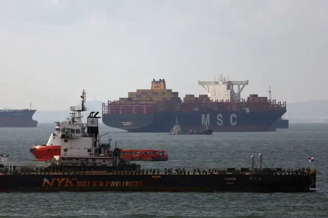 FILE PHOTO: A container ship passes a drybulk carrier in the waters south of Singapore June 24, 2025. REUTERS/Edgar Su/File Photo