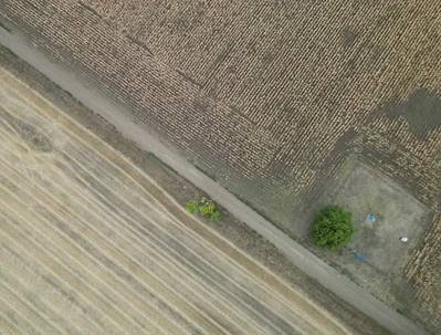 Data shows European crops matured and were harvested weeks earlier in 2026 due to warming temperatures. Heatwaves and droughts accelerated plant development cycles, significantly reducing yields for crops like grain maize across the continent.