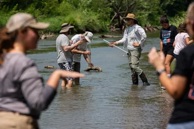Following state budget cuts to official water monitoring programs, Iowa volunteers have stepped up to track nitrate levels and water quality in local rivers and streams. Grassroots networks and local groups are filling the data gap while raising awareness about agricultural pollution.