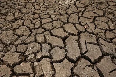 Sri Lanka is temporarily closing the most visited areas of Yala National Park to protect heat-stressed wildlife from tourists as the island faces its worst dry spell in nearly a decade.
