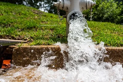 A federal appeals court has dismissed a lawsuit filed by Jackson residents over lead contamination. The panel ruled that access to clean drinking water and accurate official statements are not constitutional rights.