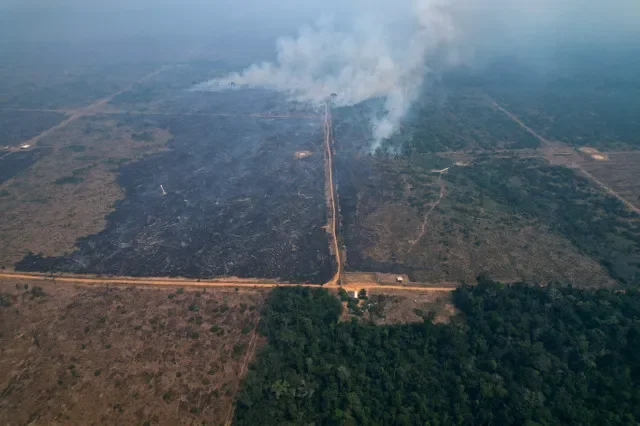 Uma vista de drone mostra áreas desmatadas na fazenda Ituxi, perto da terra indígena Kaxarari, em Porto Velho, estado de Rondônia, Brasil, em 12 de agosto de 2024. REUTERS/Adriano Machado
