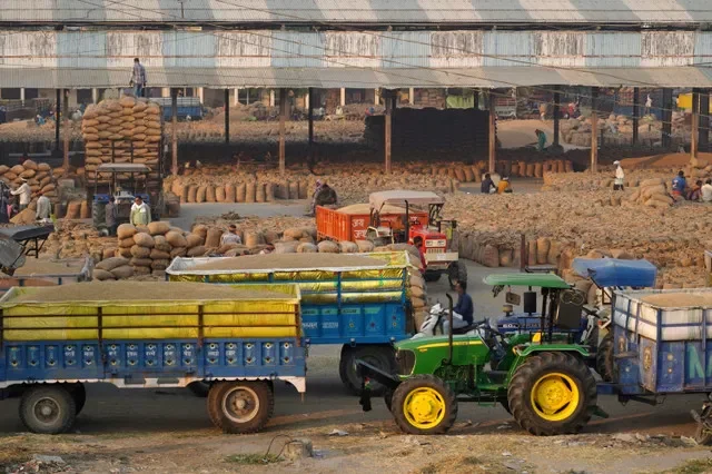 FILE PHOTO: Tractor trolleys loaded with rice crops wait to be unloaded in a grain market in Karnal in the northern state of Haryana, India, October 15, 2024. REUTERS/Bhawika Chhabra/File Photo