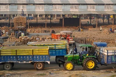 India Rice Output Faces Biggest Drop in Two Decades