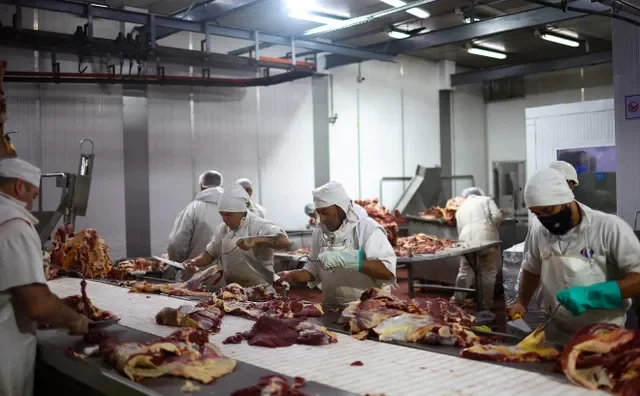 Employees process beef along the production line at a meat processing plant in Moron, Buenos Aires, Argentina, May 16, 2025. REUTERS/Agustin Marcarian