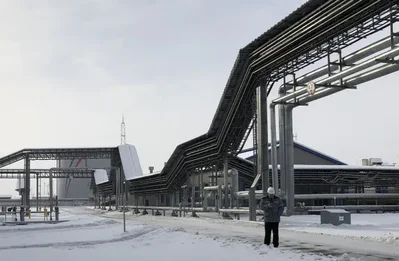 Russian Ports Adapt Baltic Terminals for Grain