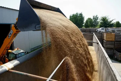 Global Wheat Buyers Face Higher Costs From War