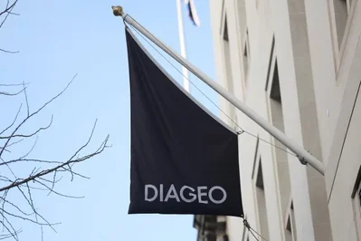 المديرة المالية لشركة WPP جوان ويلسون تنضم إلى Diageo