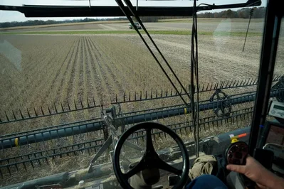 US Soy Processors Pay Premiums Amid Harvest Delays