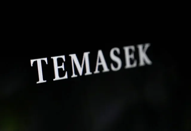 Temasek logo is seen in this illustration taken November 30, 2022. REUTERS/Dado Ruvic