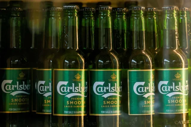Bottles of Carlsberg beer are kept in a cooler at a bar in Gurugram, India, November 26, 2024. REUTERS/Priyanshu Singh