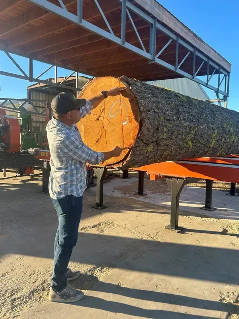 Joe Rath checks out a log that was salvaged from the 2024 Park Fire at the Rath Industries production plant on Latona Road off Highway 273.