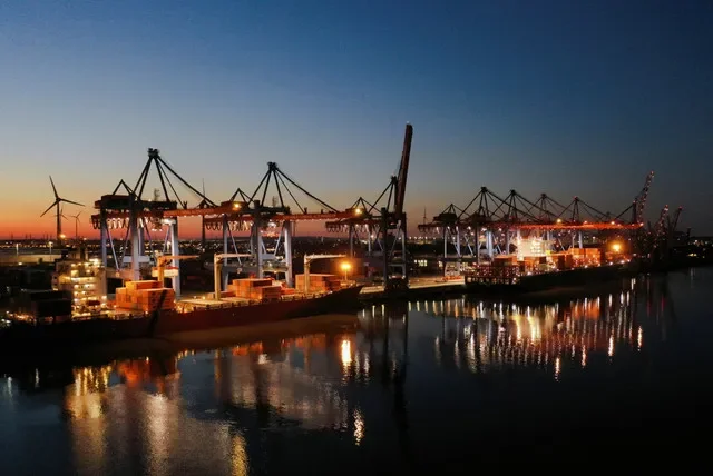 Container ships are seen at the loading terminal "Altenwerder" in the port of Hamburg, Germany, February 17, 2025. Picture taken with a drone. REUTERS/Fabian Bimmer