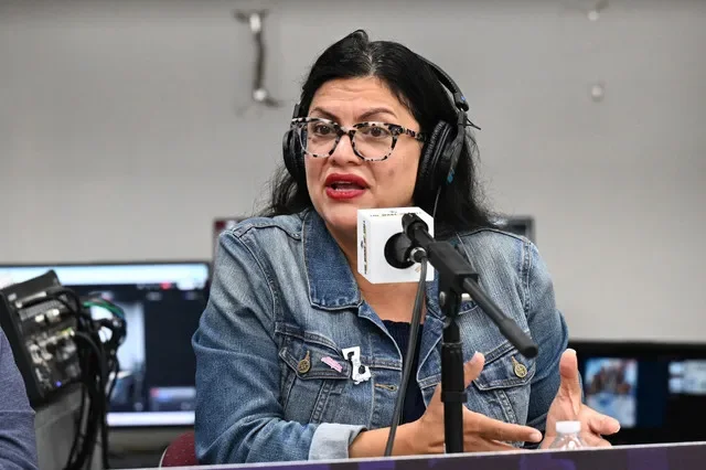 U.S. Rep. Rashida Tlaib, the only Palestinian-American in Congress and a fervent critic of the Israeli government, has sought to prevent state tax dollars from being used to invest in Israeli military technology and defense firms.