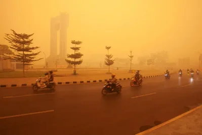 印尼考慮尋求外援應對森林大火