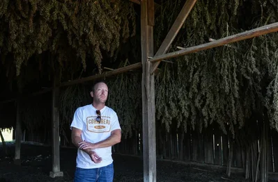 Kentucky Hemp Farms Face Closure From Federal Ban