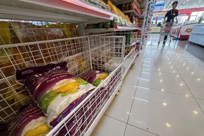 受供給衝擊影響 全球糧食通膨恐進一步加劇