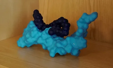Dr. Reddy's推出新仿製Ozempic品牌